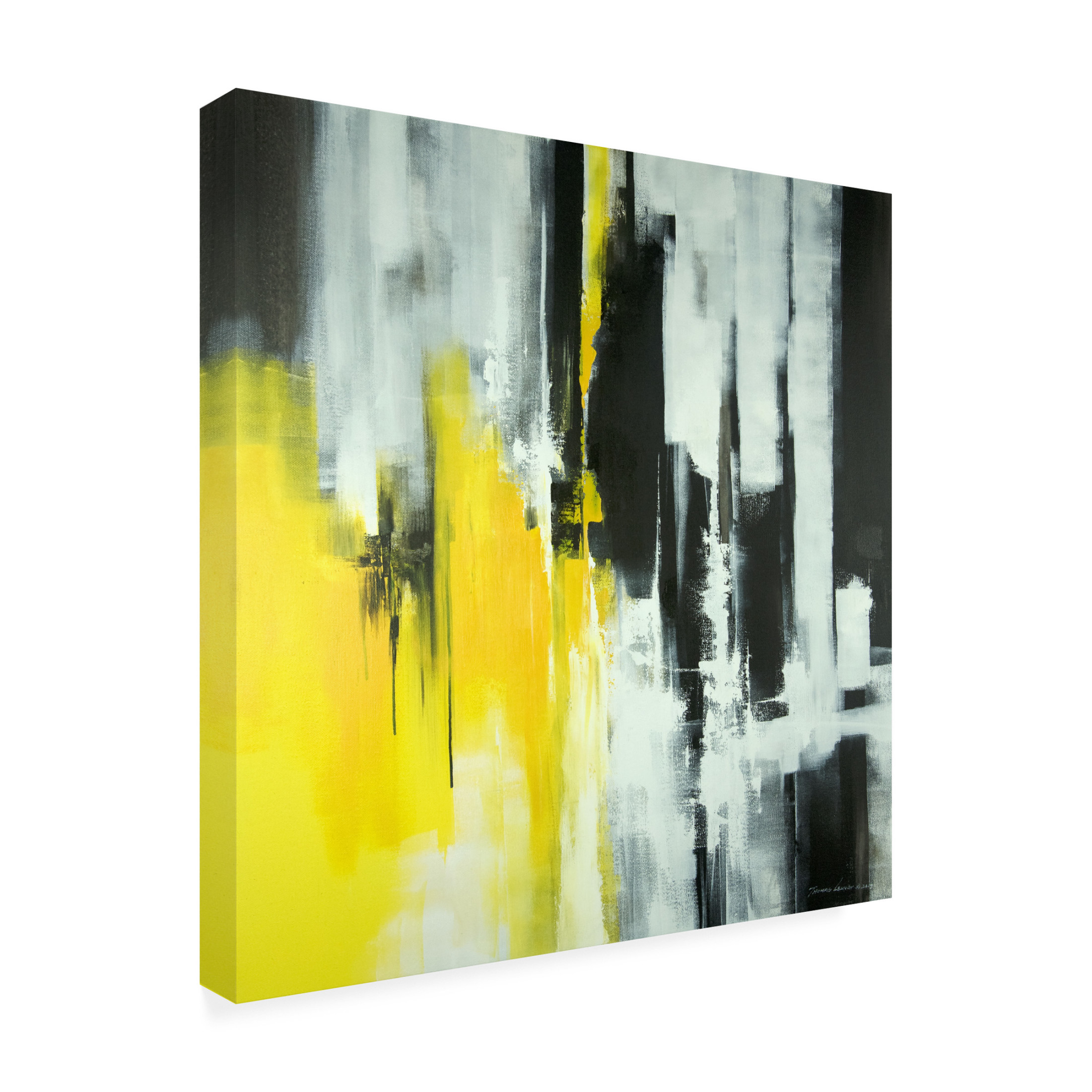 Canvas Wall Art - Thomas Leung 'Life' Wall Art for Living Room, Bedroom, or Office Décor by Trademark Fine Art - 24 x 24 Inches