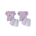 thumbnail image 2 of Toddler Kids Girls Summer Outfit 6 12 18 24 Months 2T 3T 4T Embroidery Flying Sleeve T-Shirt and Elastic Striped Shorts Set Cute 2 Piece Clothes, 2 of 9
