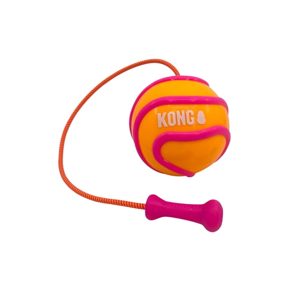 KONG® Bunji High-Viz Ball Dog Toy, Medium, Orange