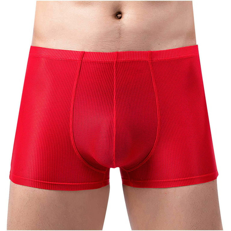 Elephant Boxer Briefs Men Underwear Short Leg Polyester Spandex :  : Fashion