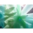 thumbnail image 2 of Franklin 24x19 White Modern Wood Framed Museum Art Print Titled - Floral Shadow, 2 of 4