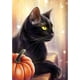 thumbnail image 1 of Juego de pintura de diamante de gato negro TUNC Decoración de imagen, 1 of 5