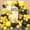 Black Yellow, variant on Orange Balloon Arch Kit, 97 Pcs Orange Sand White Balloon Garland Kit Metallic Champagne Gold Balloons Beige Brown Latex Balloons for Neutral Party Birthday Fall Thanksgiving Baby Shower