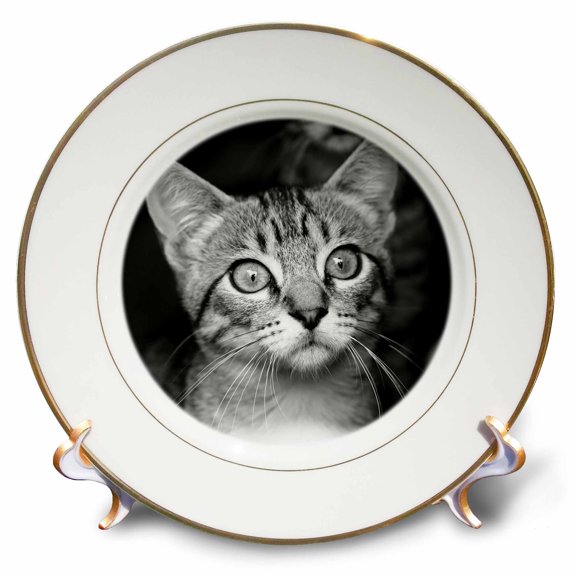 3dRose, Cute Vintage Antique Cat Portrait Style, 8 inch Porcelain Plate