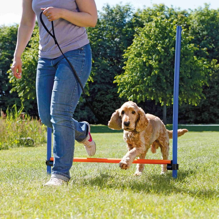 TRIXIE Dog Agility Hurdle, Portable Dog Agility Training TRIXIE Dog Agility Hurdle, Portable Dog Agility Training