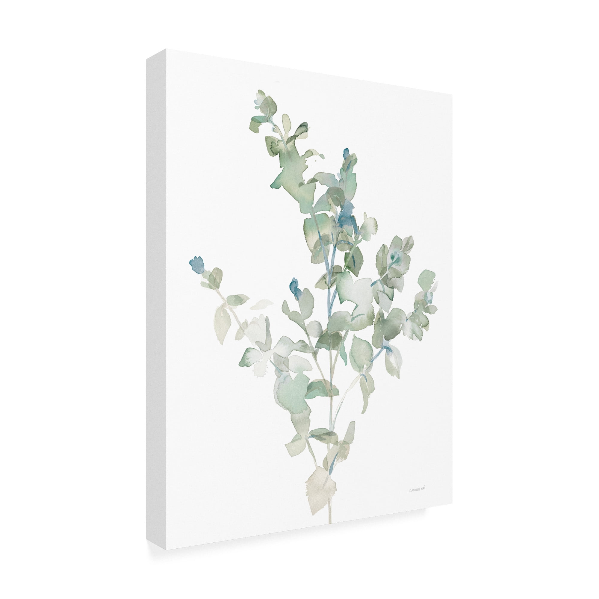 Trademark Fine Art 'Eucalyptus II Cool' Canvas Art by Danhui Nai