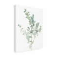 thumbnail image 2 of Trademark Fine Art 'Eucalyptus II Cool' Canvas Art by Danhui Nai, 2 of 3