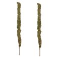 thumbnail image 3 of Moss Pole, Moss Plant Rod Prompt Plant Growth Plant Support Gardening Tools Safe  For Pottted Plant Ordinary Moss 2 Poles Box Package, 3 of 8