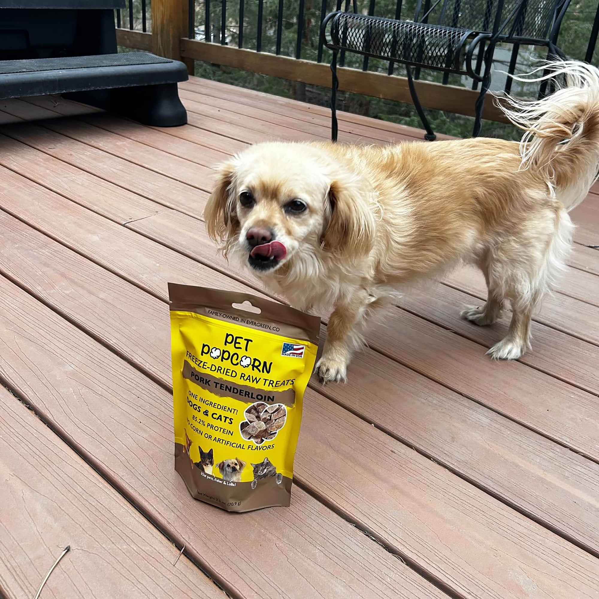 Pet Popcorn: Freeze-Dried Raw Treats - Pork Tenderloin - 2.5oz Bag, Dog & Cat Snacks, Single Ingredient, Natural, Pet Food Topper, Protein‑Packed Meat