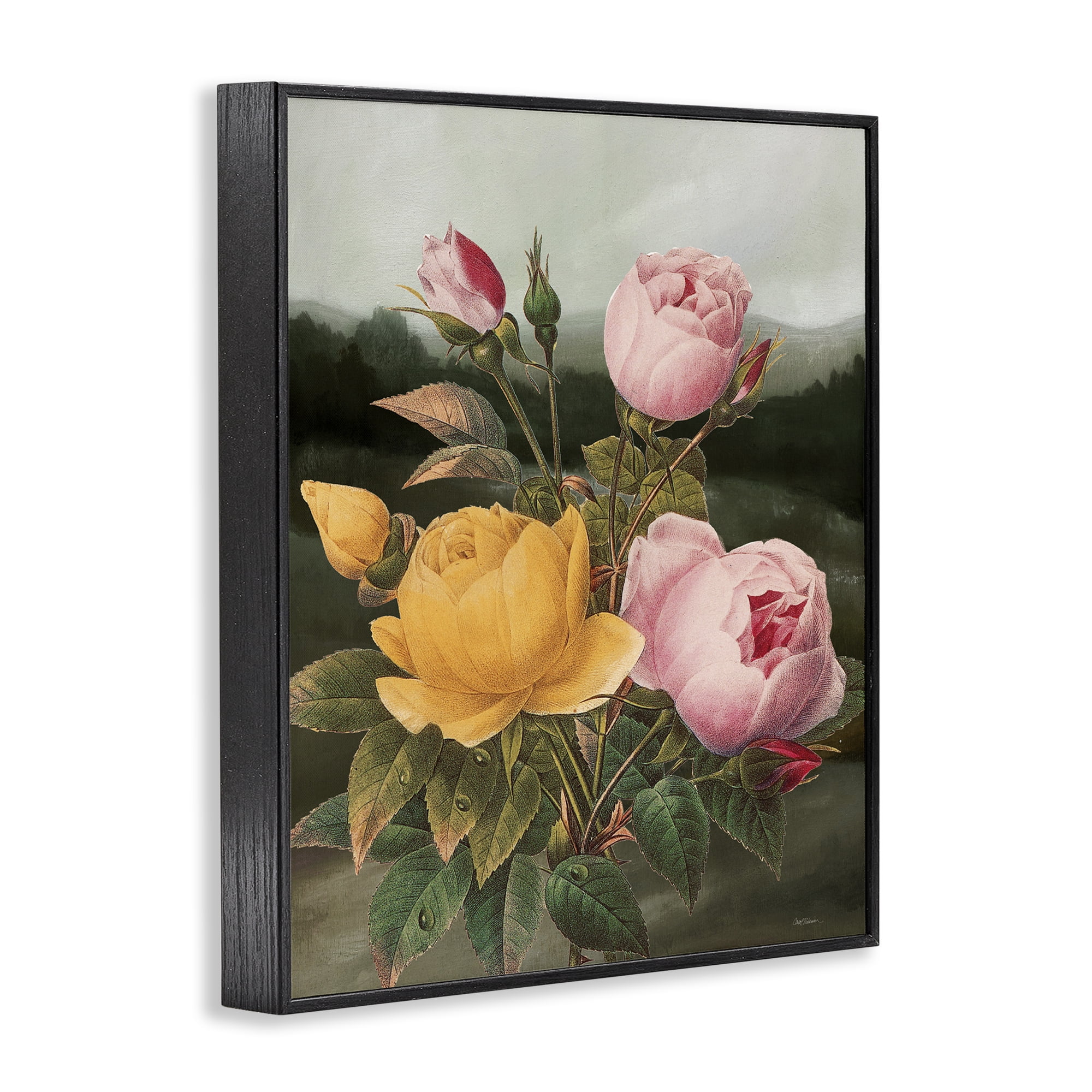 Stupell Industries Vintage Peony Blooms Botanical & Floral Painting Black Framed Art Print Wall Art, 24 x 30