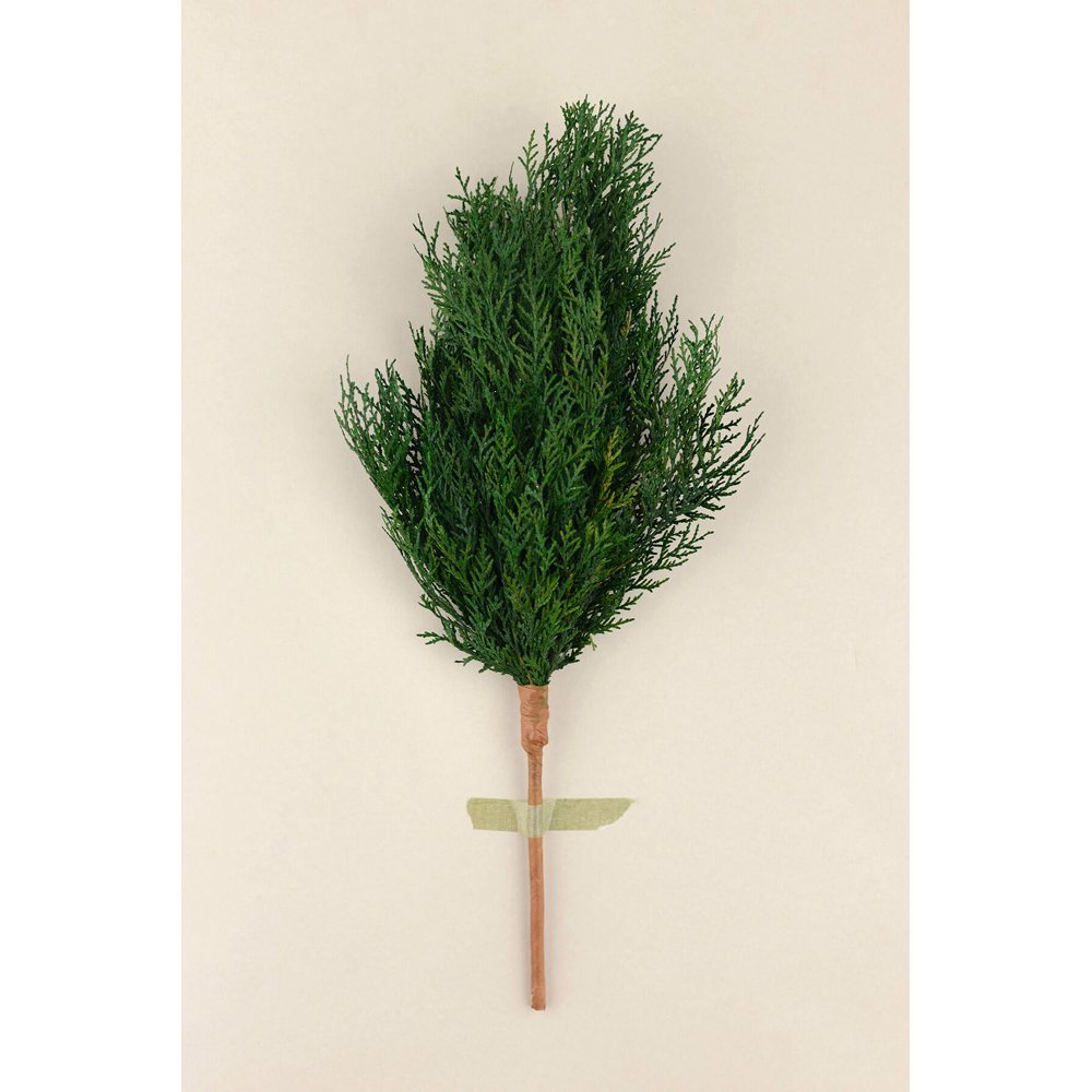 6 Pieces of Preserved Cedar Branches 16 inches