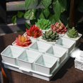 thumbnail image 2 of 1 Set Resin Breathable Succulents Pot Plant Holder Nursery Garden Container, 2 of 2