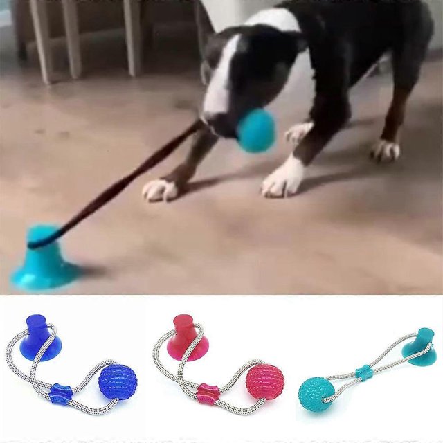 Juguetes interactivos con ventosa para perros, pelota de TPR con cuerdas elásticas para limpiar los dientes de los perros, masticar y jugar, juguetes para mascotas con premios IQ, suministros para c