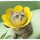 thumbnail image 2 of Collar de fieltro con corona de flores para mascotas, cubierta de cabeza delgada para gato, recuperación postoperatoria, Anti lamer, abeto, ajustable, nuevo, 2 of 4