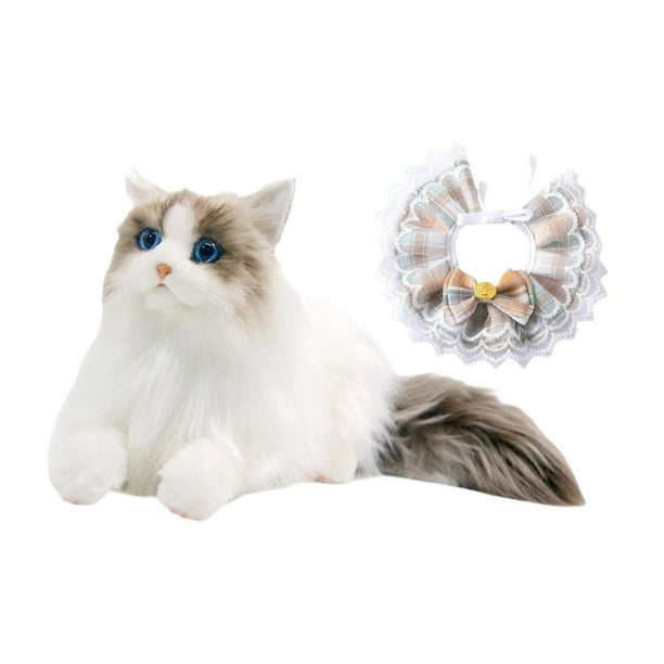 Gato Ragdoll, Animal relleno, gato de juguete de peluche, gatito