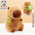 thumbnail image 1 of Poupée Capybara Véritable Poupée Jouet en Peluche Oreiller Cadeau d'Anniversaire Célébrité Internet Ragdoll DMH, 1 of 7