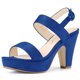 thumbnail image 1 of Sandalias Talón Abierto Plataforma Talón Grueso Para Mujeres Azul Profundo 38, 1 of 7
