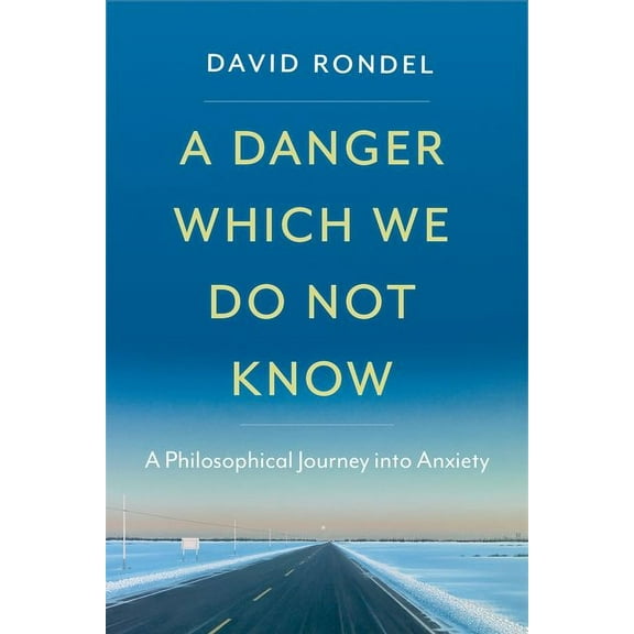 A Danger Which We Do Not Know: A Philosophical Journey Into Anxiety, (Hardcover)