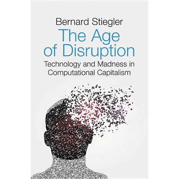 Age of Disruption: Technology and Madness in Computational Capitalism, (Hardcover)