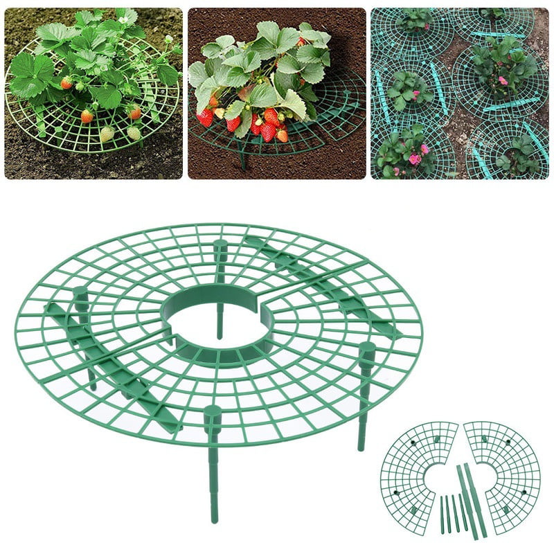 3PCS Strawberry Plant Support Holder Fruit Growing Frame Strawberry Support Planting Rack Removable Lightweight Plant Growing Frame for Climbing Plant Growing Tool Keeping Fruit Avoid Ground Rot Green