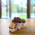 thumbnail image 4 of LOLIPPYY 2Pcs Succulent Pots Cement Planters with Tree Stump Design Coffee Color for Garden Use, 4 of 8