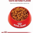 thumbnail image 2 of Canine Care Nutrition Small Digestive Care Adult Dry Dog Food 17 lbs., 2 of 2