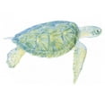 thumbnail image 3 of Meagher, Megan 18x15 Black Modern Framed Museum Art Print Titled - Tranquil Sea Turtle I, 3 of 5