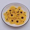 thumbnail image 4 of 50pcs 10~26mm White Mix Resin Daisy Flowers Flatbacks Cabochons Sunflower Charms Crafts For Easter Cardmaking Decorations DIY Hair Jewelry Making, 4 of 4