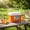 Orange, variant on Portable Insulated Cooler Box for Fishing and Outdoor Use - Durable, Lightweight Refrigeration Solution for Picnics and Camping Blue