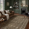 thumbnail image 5 of BERTHMEER 9'x12' Area Rugs for Living Room Dining Room Bedroom Office Farmhouse Vintage Non Slip Oriental Large Rugs Traditional Distressed Rugs Carpets,Brown, 5 of 8