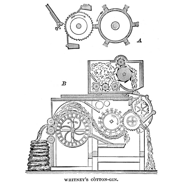 Cotton Gin. /Nschematic Drawing Of The Mechanism Of Eli Whitney'S