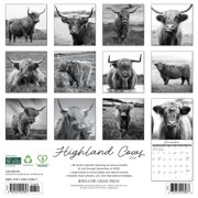 Highland Cows (B&w) 2026 Wall Calendar, (Paperback)