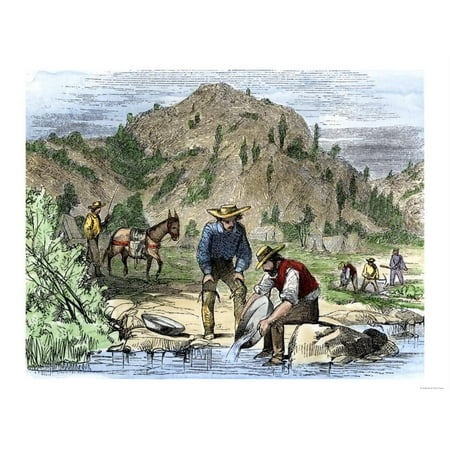 Gold Rush Prospectors Washing Sediments from a Stream to Find Nuggets in California Print Wall (Best Place To Find Gold Nuggets)