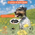 thumbnail image 4 of PetJoy Shock Collar, paquete de 3 con mando a distancia, alcance de 1000 m, 4 of 9