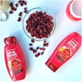 thumbnail image 5 of Garnier Whole Blends Conditioner with Argan Oil & Cranberry Extracts 22 FL OZ, 5 of 10
