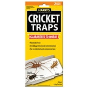 Harris Cricket Glue Traps (2-Pack)