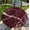 Red Marble, variant on Round Fitted Tablecloth with Elastic Edge Design Table Cover Waterproof Stain-Resistant Wipeable Table Cloth Best for 42"-46" Round Tables for Outdoor Indoor Red Marble