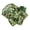 Green Camouflage, variant on Xirurus Dog Shirt Skin Friendly Breathable Fashion Washable Pet Clothing for Spring Summer Pineapple Pink L
