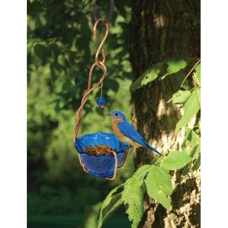 Sehhbbmw Copper Bluebird Mealworm Feeder Set Of 1 Designed To
