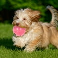 thumbnail image 4 of Durable TPR Squeaky Interactive Dog Toy for Aggressive Chewing Teeth Cleaning and Floating Water Play Activities, 4 of 4