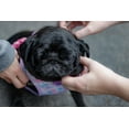 thumbnail image 6 of Frenchiestore Reversible Dog Health Harness | Mermazing, 6 of 8