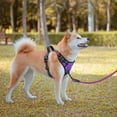 thumbnail image 3 of PoyPet Dog Harness and Leash Combo, Escape Proof No Pull Vest Harness, Reflective Adjustable Soft Padded Pet Harness with Handle for Small to Large Dogs, 3 of 8