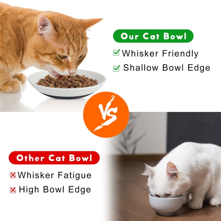 Wide Shallow Ceramic Cat Bowls With Silicone Base photo 6