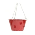 thumbnail image 1 of Houston International Trading 8396E XR Jardinière Suspendue Émaillée Galvanisée Fraise, Herbe, Floral - Rouge, 1 of 1