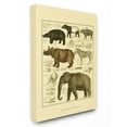 thumbnail image 2 of The Stupell Home Decor Collection Animal Anatomy Illustration Wall Art, 2 of 5