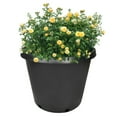 thumbnail image 4 of PET-U Premium Black Plastic Nursery Plant Container Garden Planter Pots, 4 of 13