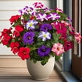 thumbnail image 2 of 19 Inch Artificial Fake Flowers for Outdoor,4 Pcs Faux Silk Petunias Spring Flowers for Outside for Indoor Porch Planter Front Door Garden Patio Window Box Home Decor(Multiple Color), 2 of 10