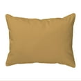 thumbnail image 3 of Betsy Drake HJ1158 16 x 20 in. Blueberries Indoor & Outdoor Pillow, Large, 3 of 3