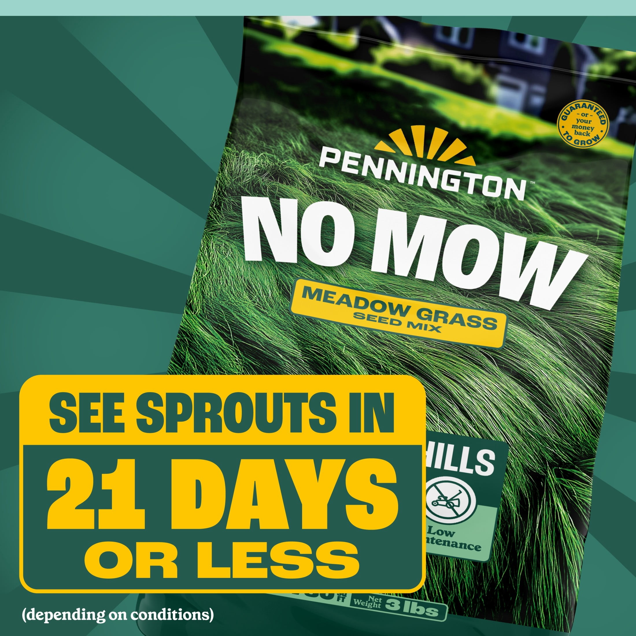 Pennington No Mow Grass Seed Mix 3lb for Low Maintenance Lawns