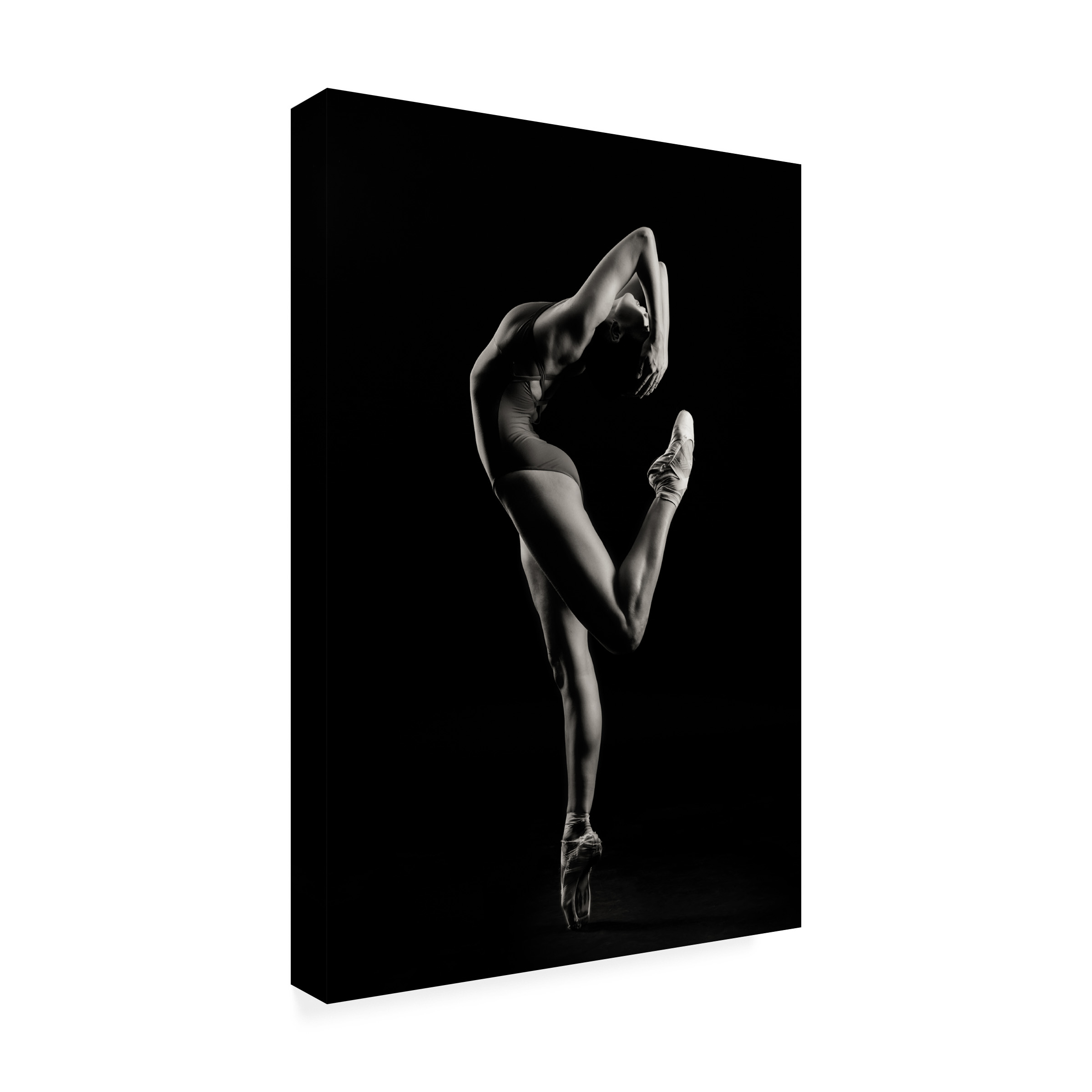 Sergei Smirnov 'Dancer' Canvas Art